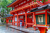 Blick auf eine Geisha im Yasaka Jinja Nishiromon Tor (Tor des westlichen Turms) Gionmachi Kitagawa, Higashiyama Ward, Kyoto, Honshu, Japan