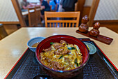 View of traditional Japanese rice dish, Gionmachi Kitagawa, Higashiyama Ward, Kyoto, Honshu, Japan