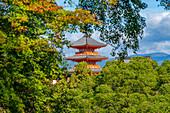 Blick auf den Kiyomizu-dera-Tempel zwischen den Bäumen, UNESCO, Kiyomizu, Higashiyama Ward, Kyoto, Honshu, Japan