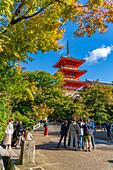 View of Kiyomizu-dera Temple and trees with autumn colours, UNESCO, Kiyomizu, Higashiyama Ward, Kyoto, Honshu, Japan