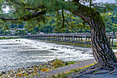 Blick auf die Togetsukyo-Brücke über den Katsura-Fluss, Sagatenryuji Susukinobabacho, Bezirk Ukyo, Kyoto, Honshu, Japan