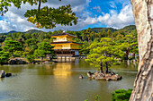 Ansicht des Goldenen Tempels (Kinkaku-ji) (Tempel des Goldenen Pavillons), UNESCO, Kyoto, Honshu, Japan