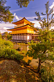 View of Golden Temple (Kinkaku-ji) (Temple of the Golden Pavilion), UNESCO, Kyoto, Honshu, Japan