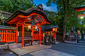 Blick auf das Torii-Tor des Fushimi-Inari-Schreins in der Abenddämmerung, Fukakusa Yabunouchicho, Bezirk Fushimi, Kyoto, Honshu, Japan