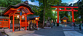 Blick auf das Torii-Tor des Fushimi-Inari-Schreins in der Abenddämmerung, Fukakusa Yabunouchicho, Bezirk Fushimi, Kyoto, Honshu, Japan