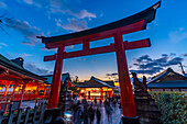 Blick auf das Torii-Tor des Fushimi-Inari-Schreins in der Abenddämmerung, Fukakusa Yabunouchicho, Bezirk Fushimi, Kyoto, Honshu, Japan