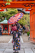 View of lady in Kimono with colourful umbrella in street near Torii gate in Gion, KKyoto Geisha District, Kyoto, Honshu, Japan