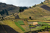 Provinz Cotopaxi, Ecuador