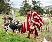 Pablo with his farm animals, Posada de Tigua, Cotopaxi Province, Ecuador