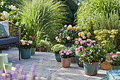 Üppig bepflanzte Terrasse mit Sitzplatz und Rosen, Schafgarbe, Erdbeere, Hortensie, Salbei, Grasnelke,  Lavendel, Rosmarin, Gräser in Töpfen