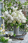 Fliederblüten in Vase