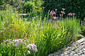 Sonnenhut, Flammenblume, Johanniskraut, Oregano, Lauchblüten, Kamille