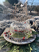 Deko aus Teller mit Hagebutten und Zweigen bedeckt von Schale aus Eis mit Gläsern im winterlichen Garten