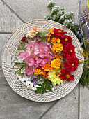 Begonias, dahlias and marigolds on plates