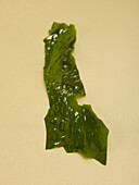 Wakame seaweed leaf