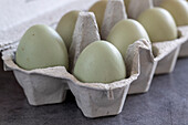 Green hen's eggs in an egg carton