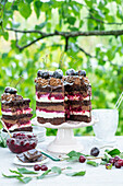 Black Forest-style cherry and chocolate cake