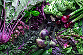 Purple Obst und Gemüse - Kohlrabi, Grünkohl, Erbsen, Zwiebeln