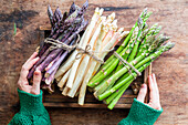 Purple, white and green asparagus