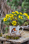Winter aconites in a cup