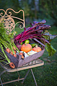 Harvest basket with beetroot, pumpkin and carrots