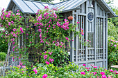 Apothecary rose (Rosa gallica 'Officinalis') and climbing rose (rambler) Taunusblümchen at the garden house