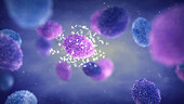 Mpox virus particles, illustration
