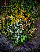 Various wild herbs as a still life