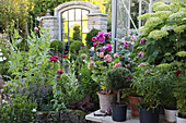 Üppig bepflanzter Garten mit Hortensien und Topfpflanzen vor Steinmauer mit Spiegel