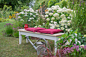 Sitzplatz im Garten vor Beet mit Ballhortensien (Hydrangea arborescens 'Annabelle'), Kugellauch (Allium), Dahlien, Sonnenauge, Eisenkraut