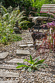 Katze vor Sitzplatz mit Steinmännchen, Topf mit Schnittlauch, und Beet mit Chinaschilf, Lampenputzergras und Farnblätter im sommerlichen Garten