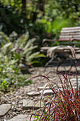 Sitzplatz mit Steinmännchen vor Beet mit Schnittlauch, Chinaschilf, Lampenputzergras und Farnblätter im sommerlichen Garten 