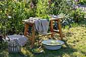 Wasserschale mit Limetten, Zitrusfussbad vor Blumenbeet mit Kosmeen