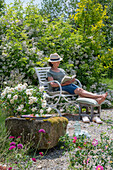 Frau liest an Sitzplatz auf Kiesterrasse vor Büschelrose (Rosa multiflora), Skabiose (Scabiosa) und blühenden Sträuchern