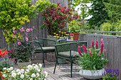 Sitzplatz auf Terrasse mit Weigelie, Schafgarbe, Steppensalbei, Fächerahorn, Bartnelke, Lupine, Dahlie, Rose (Rosa 'Petticoat')