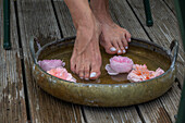 Fussbad mit Rosenblüten auf Terrasse, close-up