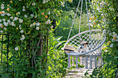 Strauch-Rose (Rosa multiflora 'Ghislaine de Feligonde') als Torbogen mit Makramee Schaukel im Garten und Hund