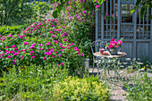 Frau mit Rosenstrauss, Rosen (Rosa multiflora 'Taunusblümchen'), Kletterrose am Teehaus neben Sitzplatz