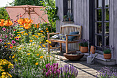 Blumenbeete mit Feuer-Lilie (Lilium bulbiferum), Fliederblättriges Schmuckkörbchen (Cosmos bipinnatus), Sonnenauge (Heliopsis helianthoides), Salbei, Lavendel auf der Terrasse