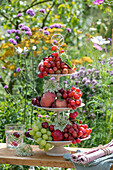 Etagere mit Früchten, Weintrauben und Äpfel, Erntedank