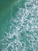 Aerial view of a beautiful tropical beach with waves and a surfer in the gulf of Mexico,Siesta Key,United States