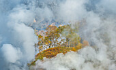 Aerial view of the breathtaking valley of geysers surrounded by lush trees and mystical fog,Kamchatka,Russia