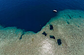 Luftaufnahme der Blauen Löcher, Palau