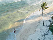 Aerial view of palm tree-lined beach with two people,Caribbean Sea,Playa del Carmen,Mexico