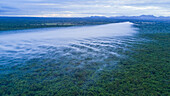 Aerial view of low clouds on a forest jungle at sunset in Punta Cana,La Altagracia,Dominican Republic