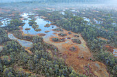 Aerial view of a swamp with small ponds at sunset in the countryside with forest trees in autumn colours,Roschinskoe,Leningrad,Saint Petersburg,Russia