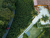 Aerial view of lush coffee plantation with red jeep and traditional house in Salento,Quindio,Colombia