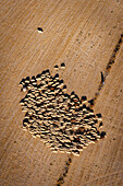 Aerial view of flock of sheep in Cappadocia,Turkey