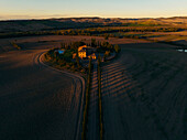 Luftaufnahme einer ruhigen Landschaft mit sanften Hügeln, Zypressen und Weinbergen bei Sonnenuntergang, Castiglione d'Orcia, Italien