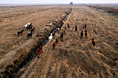 Aerial view of a herd of horses grazing in a beautiful pasture surrounded by green fields,Incesu,Turkiye